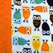 Travel Pillowcase Owl Print Minky with Orange Dimple Dot Minky Border - great for Toddlers or Teens