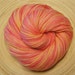 Elle Woods, in Elsa, SW MCN, 435 yds, Fingering/Sock 100g