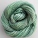 Handspun Yarn "Cool Mint" Two Ply Merino/Tencel