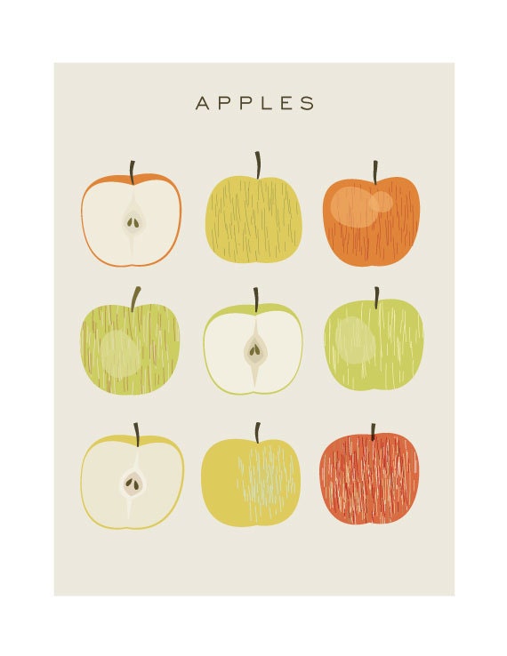 Apples Original Illustrated Digital Image for Download and