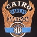 Vintage 90s Harley Davidson Cairo Egypt Black T-Shirt