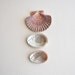 3 shells, 1 pectin and 2 abalone