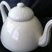 Sea Urchin Porcelain Teapot