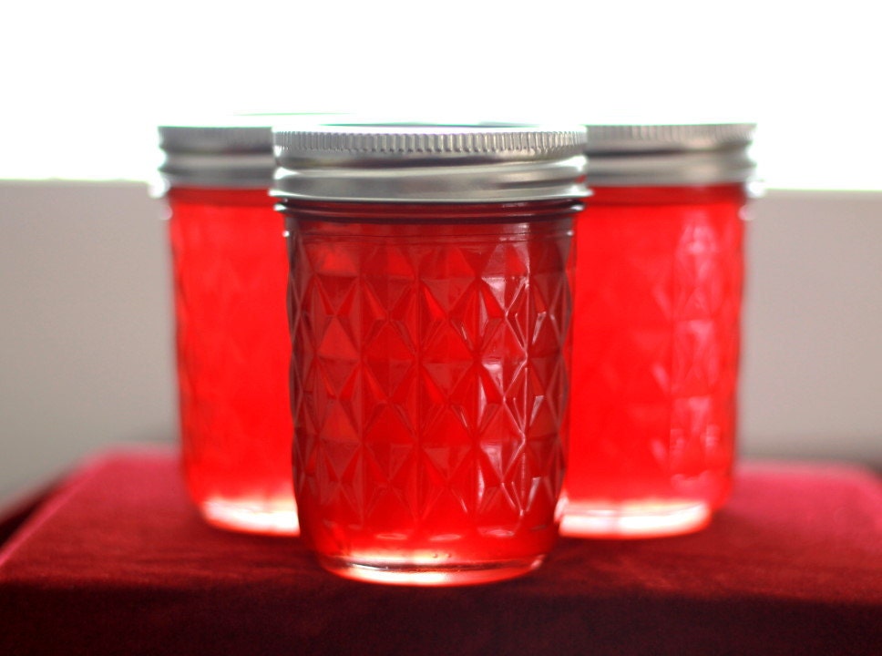 prickly pear cactus jelly 8oz half pint jars prickly pear cactus jelly 8oz half pint jars