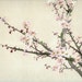 Antique Asian print LARGE quality Blossoms art print, vintage painting flowers art print, pink flower blossoms wall print wall art