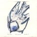 Bird Print "Blue Sparrow" Monotype