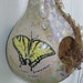 BUTTERFLY Birdhouse Gourd, Hand Painted, 12 Inches, Original