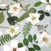 Wedding Table Flowers and Leaves. Woodland Wedding Leaves, Garden Wedding Floral Mix, Green with White and Cream Accents, Qty. of 50