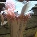 Vintage Pink Spring Nest with Dove and Light Pink Tinsel Garland