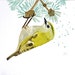 Bird watercolor original art - Goldcrest - yellow spring decor cute bird nature lover gift mothers day card
