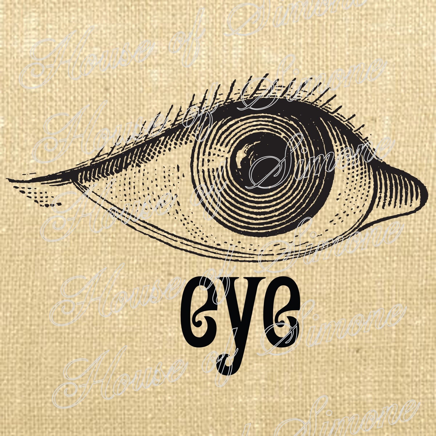 Eye Eyeball Optometry Antique Vintage Download Graphic Image