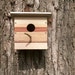 Modern Reclaimed Wood Birdhouse - Nest Box - One-of-a-kind - 6 Species of Wood