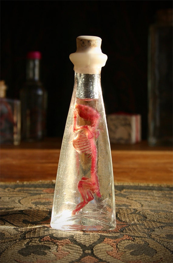 Mallory Diaphonized Mouse Specimen Triangular Bottle