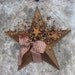 16" Burgandy Mustard Rusty Tin Star Berry Rusty Tin Star Wall Pocket Primitive Country Wall Decor