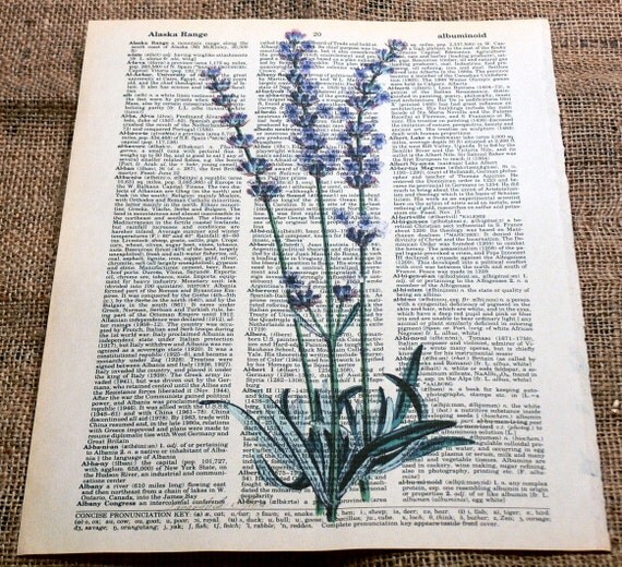 Lavender Flowers Art Print on Vintage Dictionary Book Page