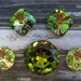 Golden Dawn, a set of 5, 1930-1950's Vintage Swarovski Crystals