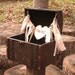 Chest Style Card Box - Wedding Card Box - Medium Trunk
