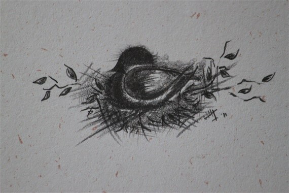 LITTLE BIRD on nest pencil sketch greeting cards