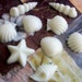Customizable Guest Soaps - Shea Butter - Sea Shells Guest Soaps "Guesties" - FLORA & FAUNA SCENTS - Free Shipping Domestic