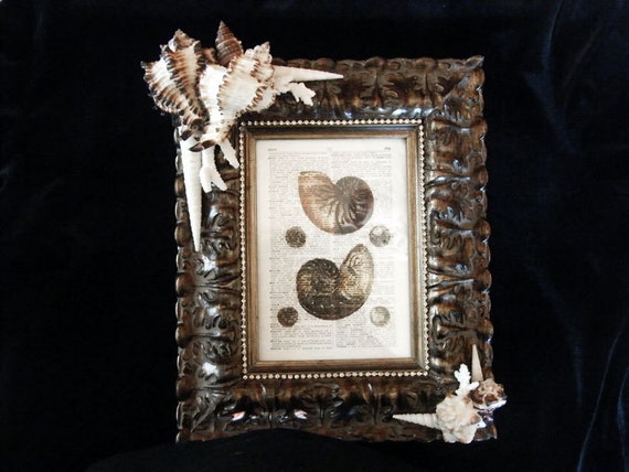 Frame Embellished with Seashells - Gallery Quality