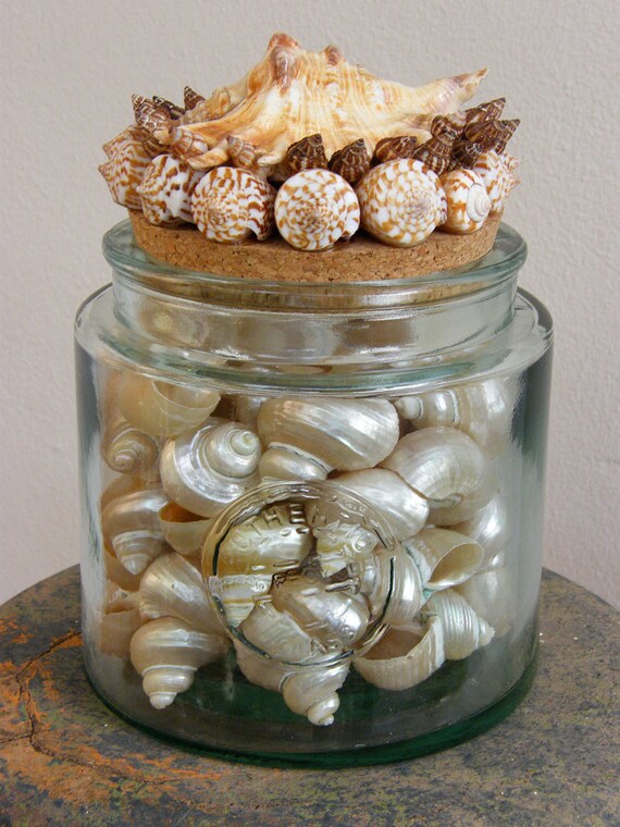 Large Recycled Glass Jar with seashells top - for bathroom, kitchen, or any home decoration location.