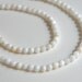 White Mother of Pearl shell round beads 5mm full strand 6271KS
