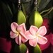 Flower Garden Beaded Dangle Earrings in Pink Frangipani