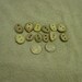 12 antler buttons total (holes drilled)