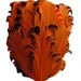 1 Nagorie Curled Feather Pad Orange and Black Halloween RARE