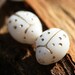 Czech Glass Beads - White Ladybugs - 9x7mm - white, golden dots - 12PC