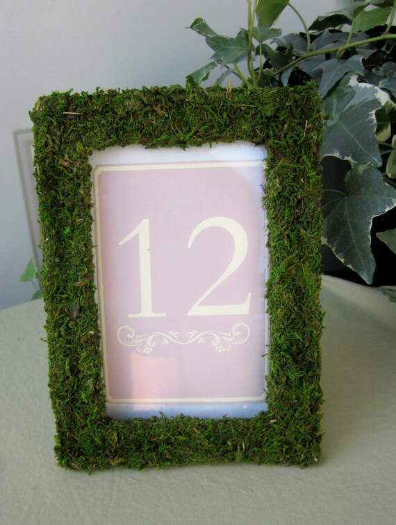 Table Number Frames 20 Moss Covered Frames for Wedding or