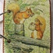 Squirrel Nutkin wooden book
