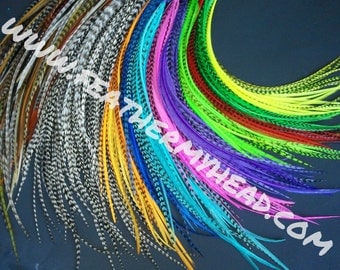 500 Wholesale Feather Hair Extensions, Premium Extra Long Feathers