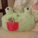 rich frog tooth fairy pillow