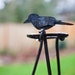 Wrought Iron Garden Trellis with Birds