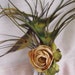 Kuchi Feather Fascinator- Burning Man, Festival, Tribal- Peacock Fins with Cream and Green Ranunculus, Kuchi Chain