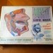 Vintage Medical Nose and Mouth Display