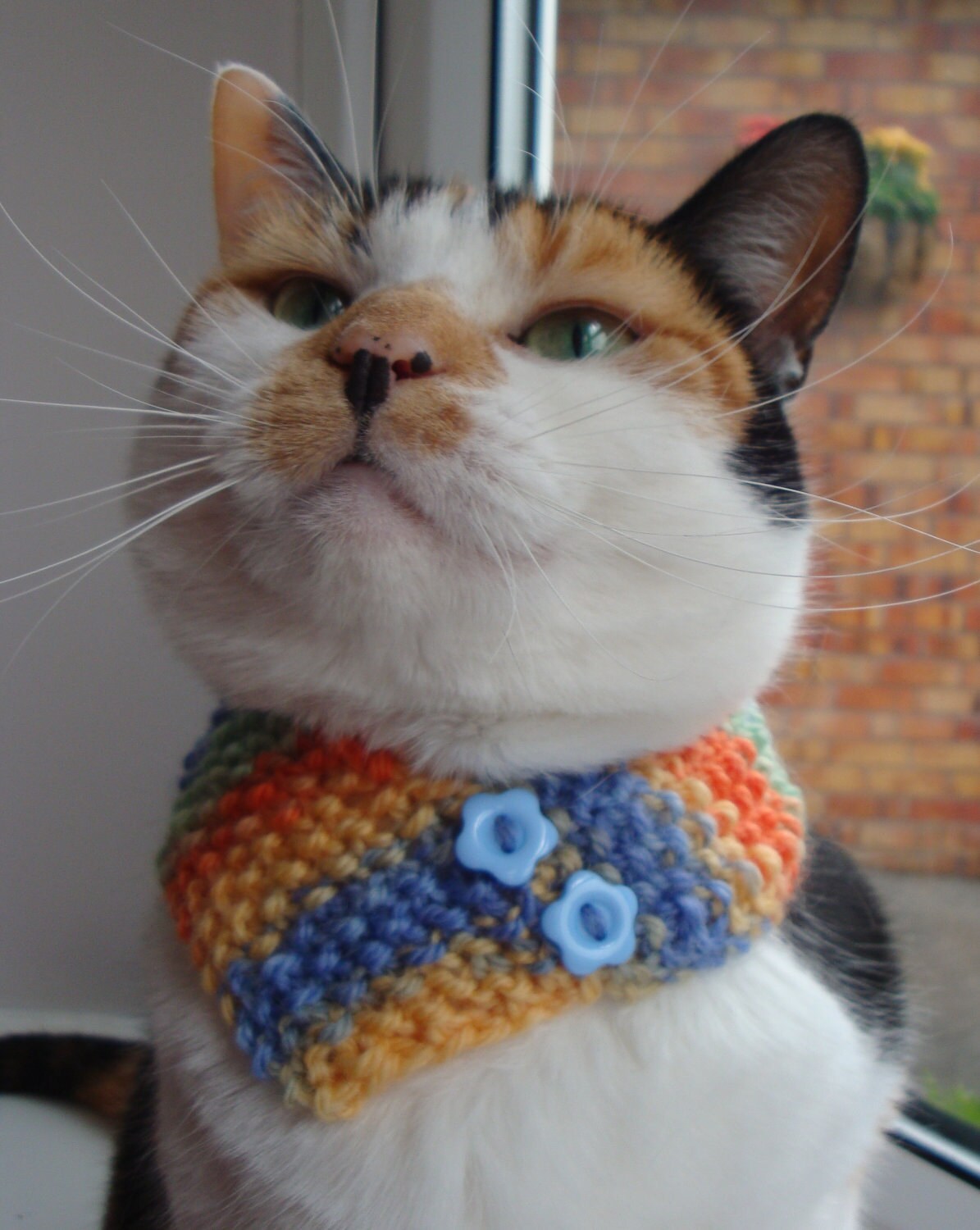 Cat Neck Warmer/Cowl Hand Knitted Random Yarn in Blue