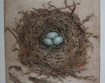 Robin's Nest etching, Intaglio , hand printed