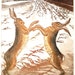 Boxing Hares, original Etching and Aquatint handprinted by Sally Winter
