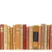 Front Page Featured-Library Filler 18 Book Collection Warm Tones Interior Design Vintage Book Decor