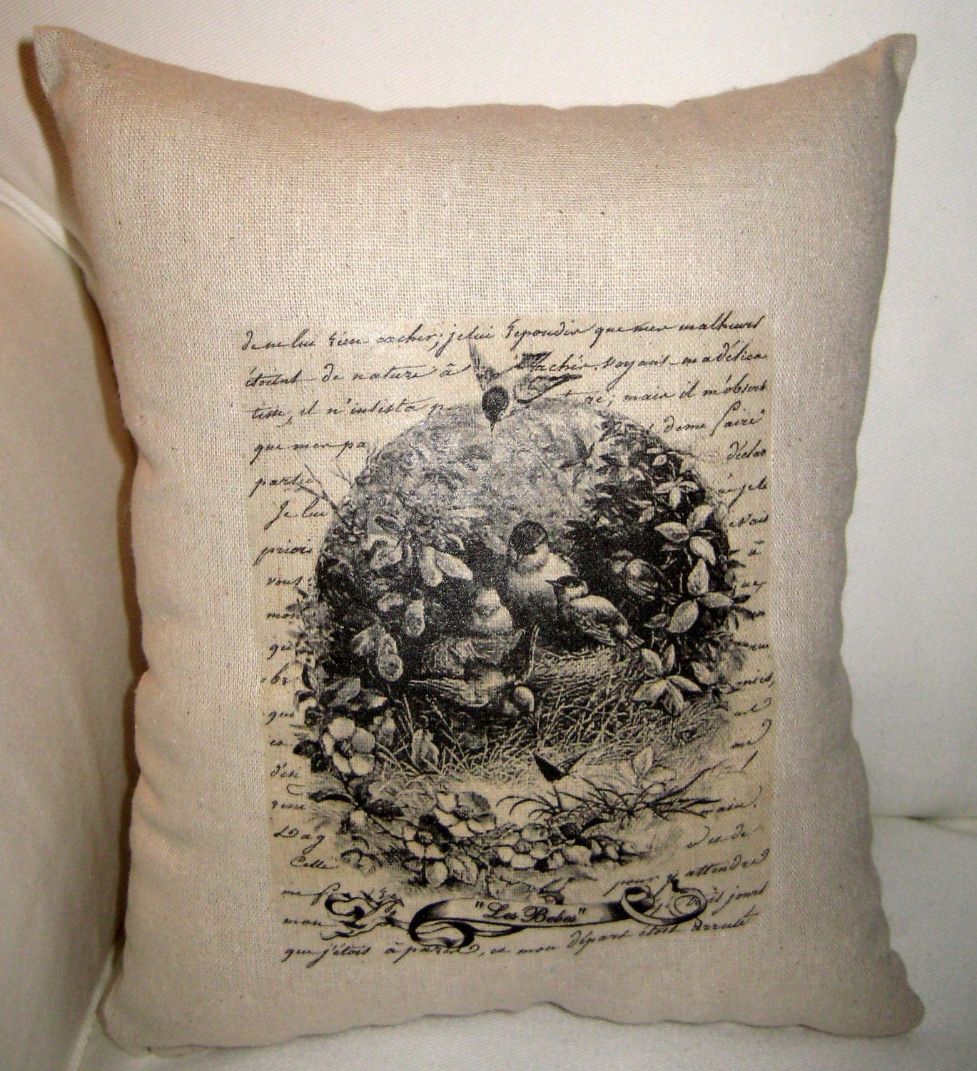 French Baby Birds Pillow Antique Script & Nest Cushion Paris