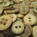 Authentic 1800s Bone Underwear Buttons for Reenactor Period Clothes Dolls 2 hole 4 hole
