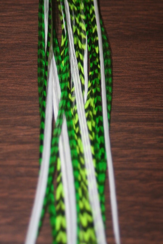 12 rooster hair feather GRIZZLY comes with 4 by dizzylizzy188