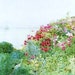 Impressionistic Painting Print of Poppies on Hillside Overlooking Sea by Hassam
