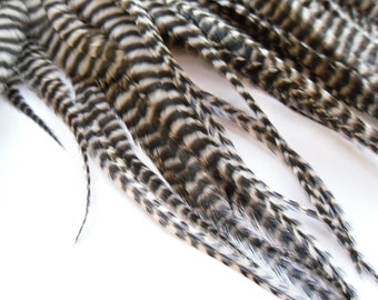 Thick Grizzly Feathers for Hair Extensions, Qty 3