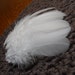 Pure White Craft Feathers, Hen Feathers, QTY12