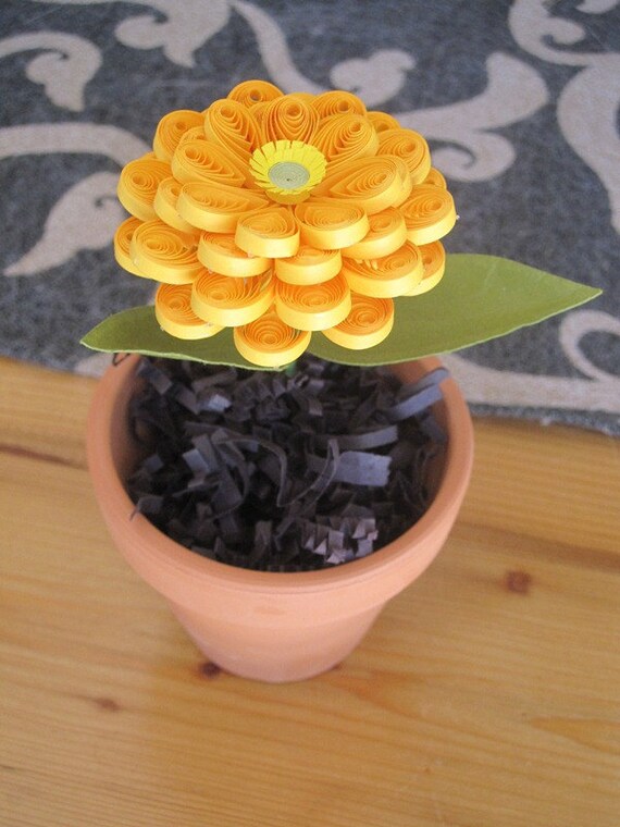 Small Quilled Yellow Potted Zinnia Flower