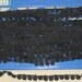 Vintage Trim Lace Black Cotton Daisy Flowers Daisies Small 3 Yards 1/2" wide 4-Star Mills U.S.A.