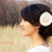 Ivory Flower Hair Clip Fascinotor Clip Cream Flower Wedding Flower Clip White Flower Clip Ranuculus Flower Retro Style